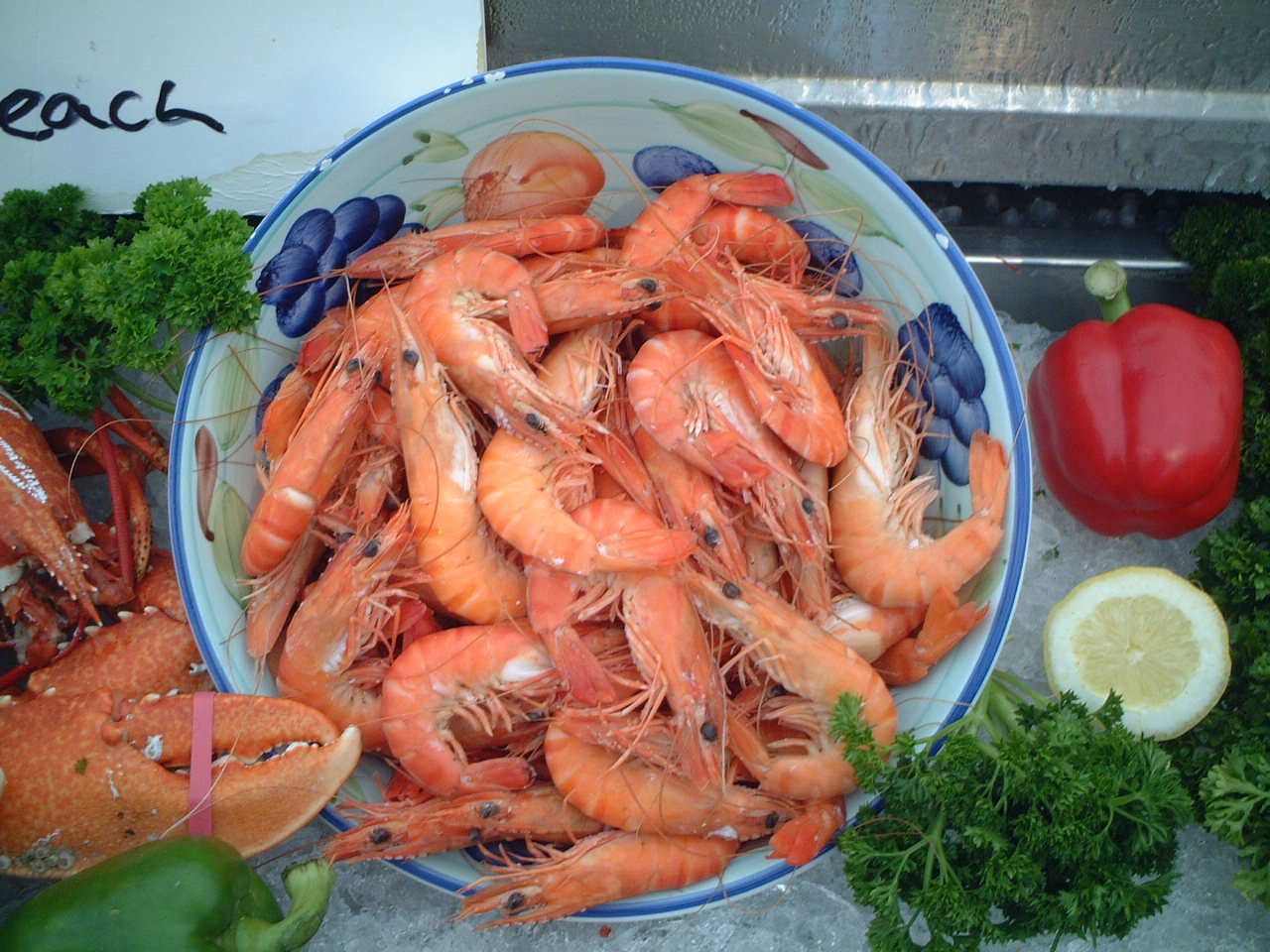 Gallery Britannia The Beach